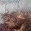Harley and Jack