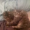 Harley and Jack